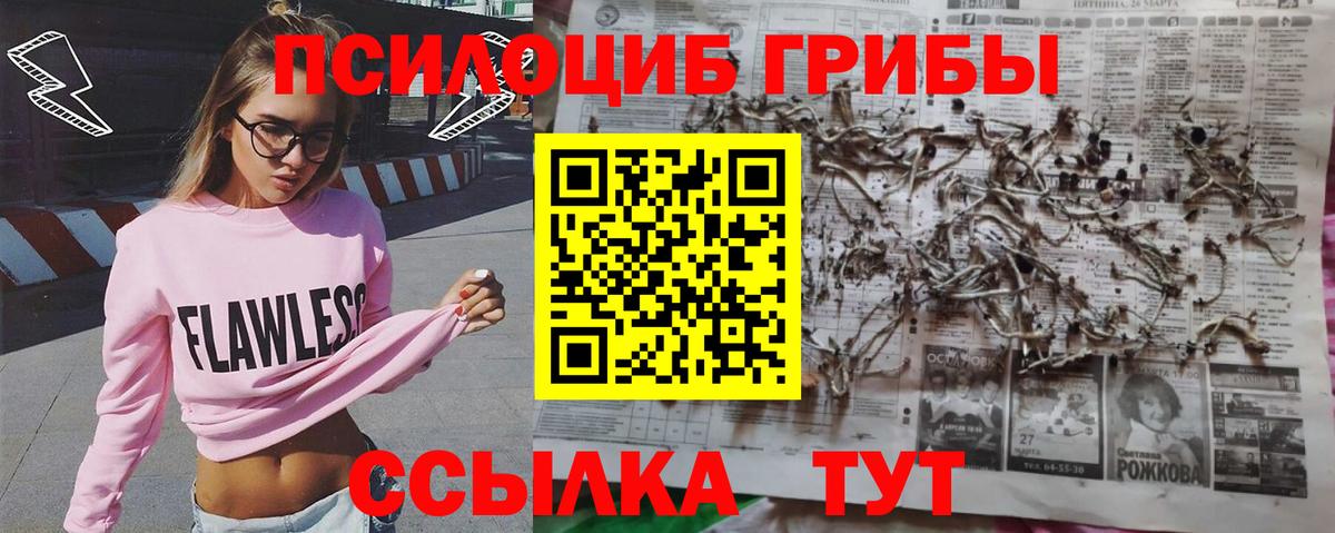 Псилоцибиновые грибы Psilocybe  Вход с VPN  Псилоцибиновые грибы мицелий  Кирово-Чепецк 